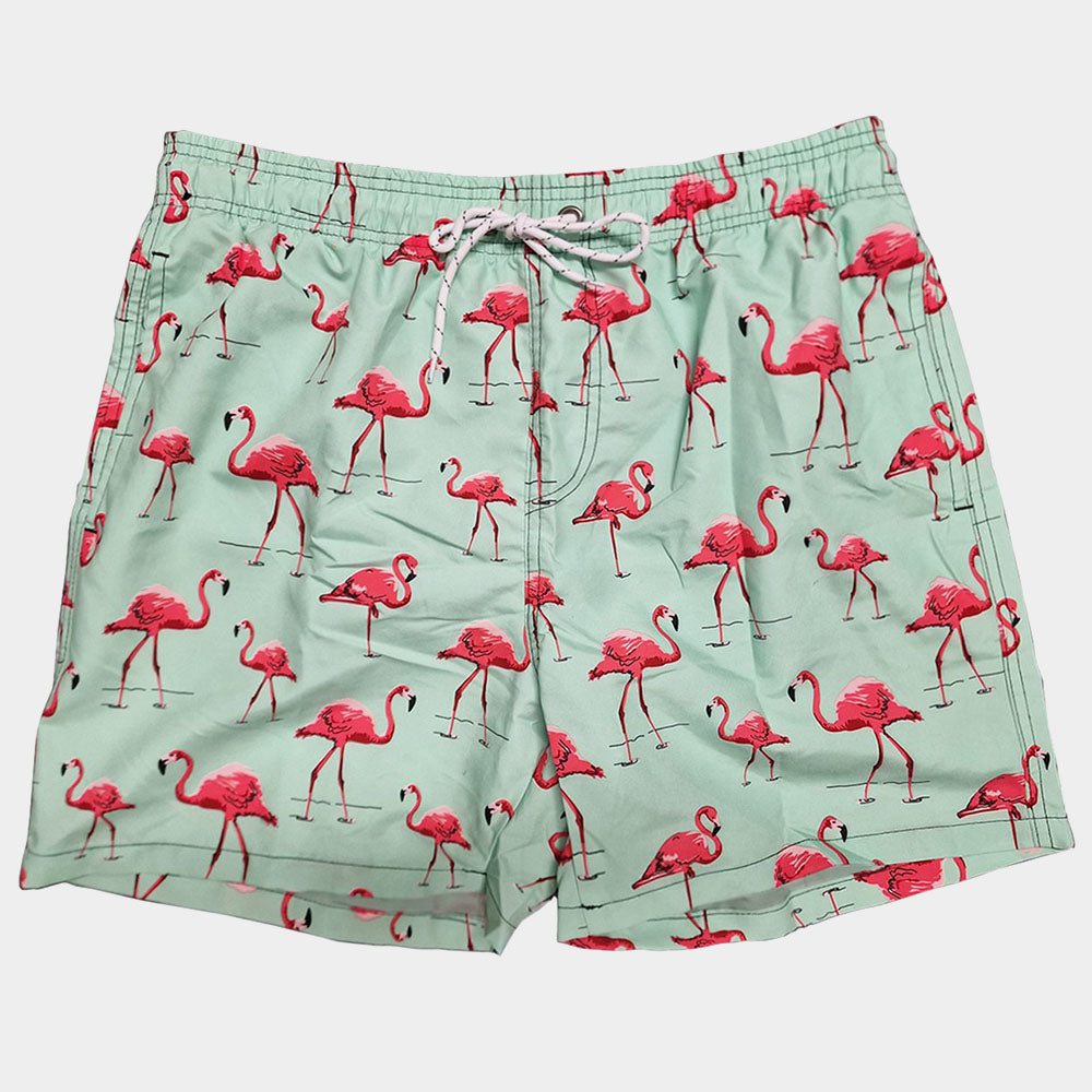 Zwembroek voor heren - Flamingo print