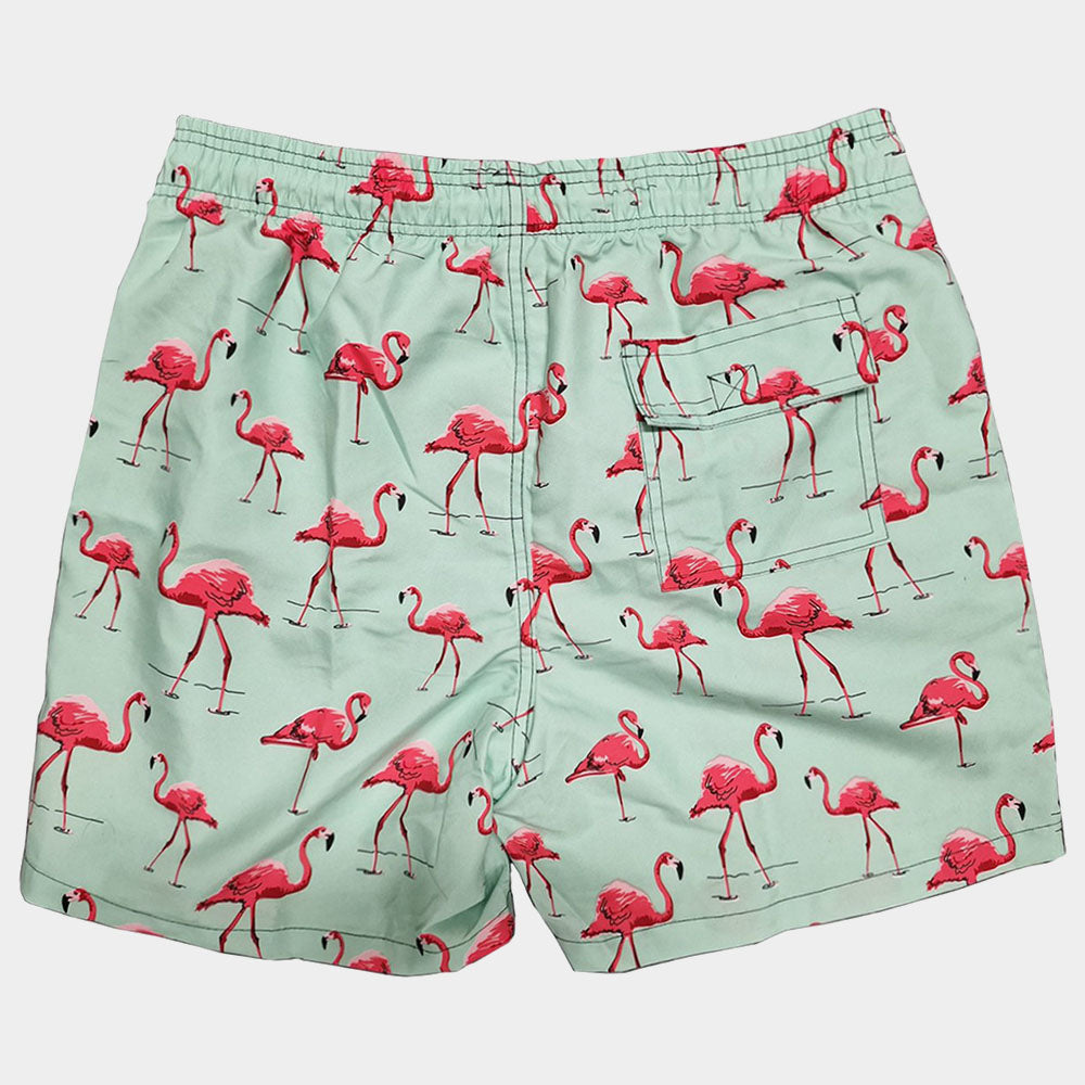 Zwembroek voor heren - Flamingo print